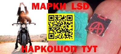 стафф Сланцы