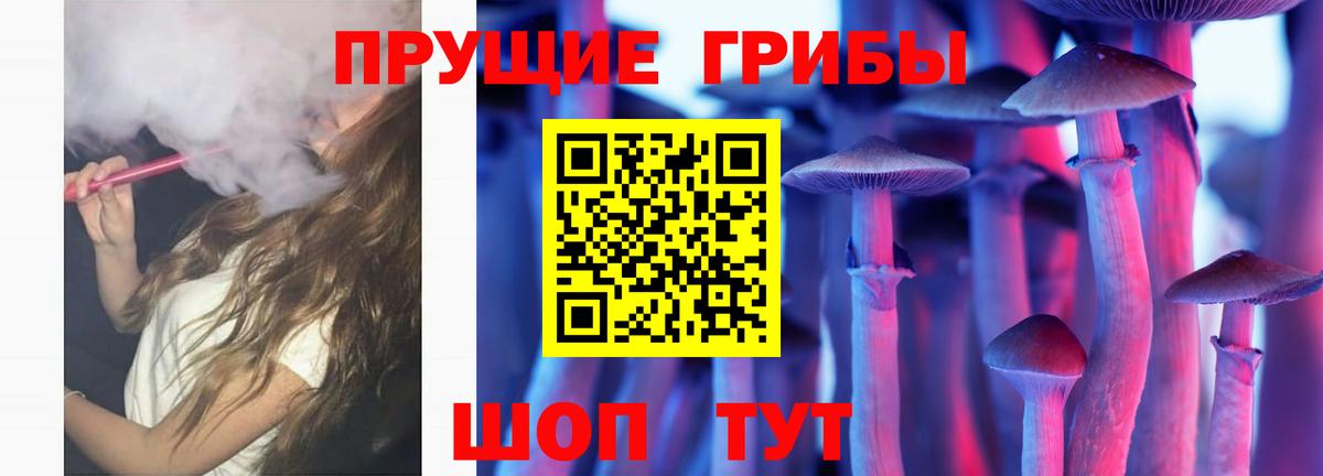 Псилоцибиновые грибы Psilocybe  Вход с VPN  Михайловск 
